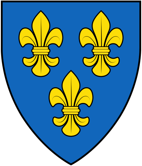 Wappen Wiesbaden - Reinigungsfirma in Wiesbaden